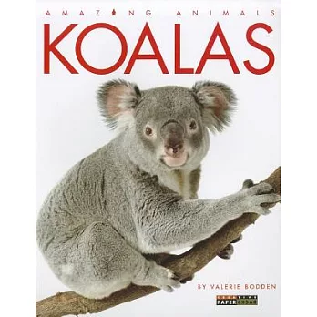 Koalas