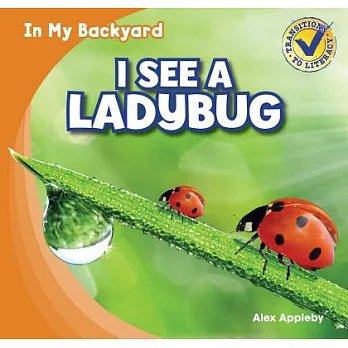 I See a Ladybug /