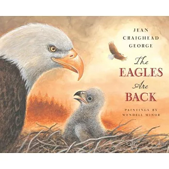 The eagles are back /