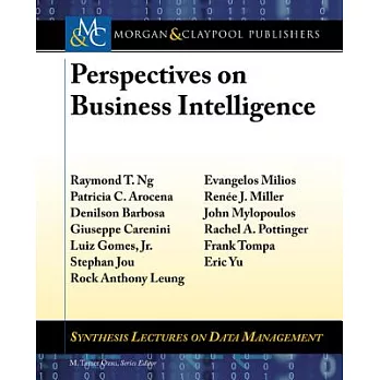 Perspectives on Business Intelligence