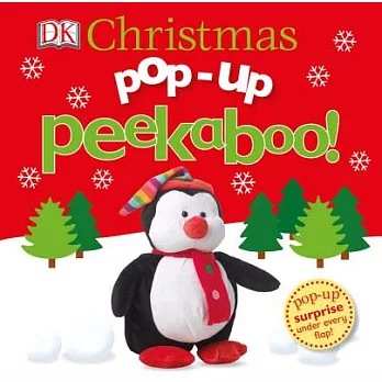 Christmas Pop-Up Peekaboo!