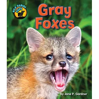 Gray Foxes