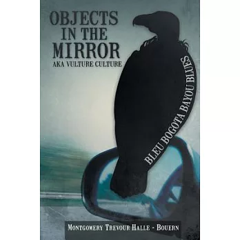 Objects in the Mirror Aka Vulture Culture