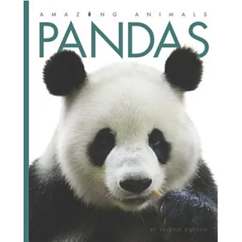 Pandas /
