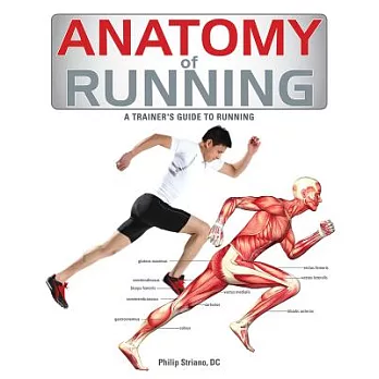 Anatomy of Running: A Trainer’s Guide to Running