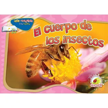 El cuerpo de los insectos / Insect’s Body
