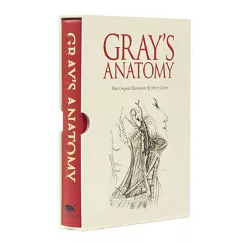 Gray’s Anatomy