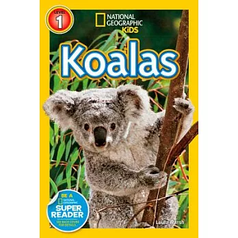 Koalas /