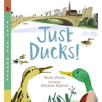 Just ducks! /