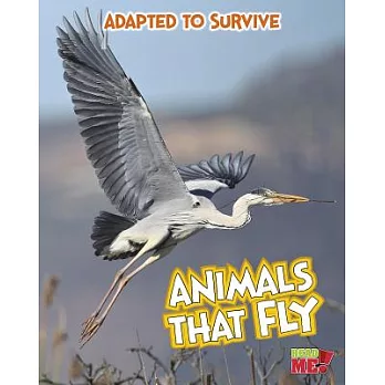 Animals That Fly