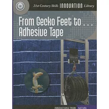 From gecko feet to ... adhesive tape /
