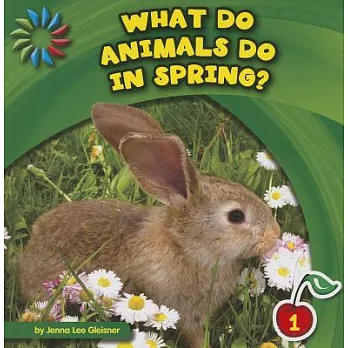 What Do Animals Do in Spring?