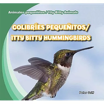 Colibríes pequeñitos / Itty Bitty Hummingbirds