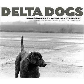 Delta Dogs