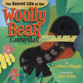 The secret life of the woolly bear caterpillar /