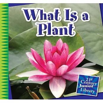 What Is a Plant?