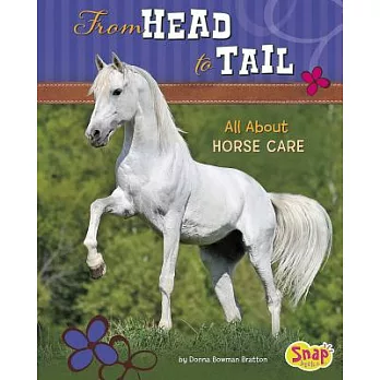 From Head to Tail: All About Horse Care