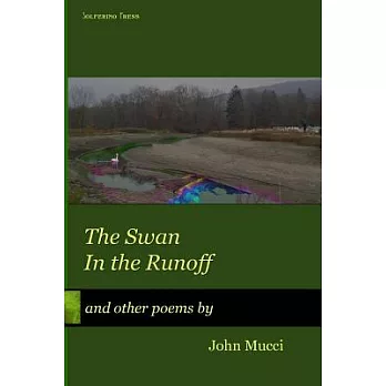 Swan in the Runoff: And Other Poems