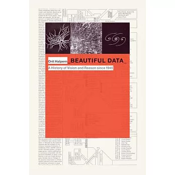 Beautiful Data: A History of Vision and Reason Since 1945