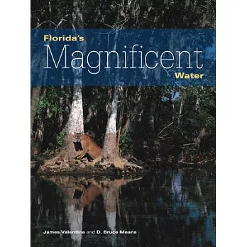 Florida’s Magnificent Water