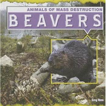 Beavers /