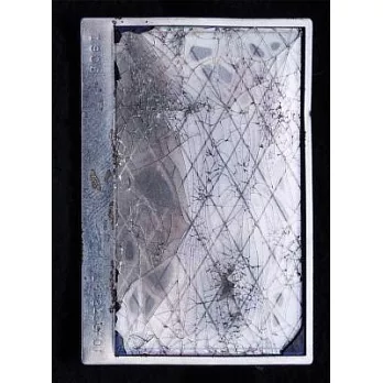 Beate Geissler and Oliver Sann: Volatile Smile