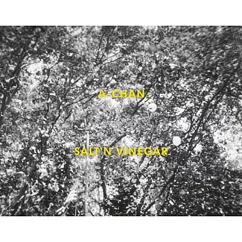 A-Chan: Salt’n Vinegar