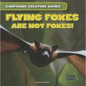 Flying Foxes Are Not Foxes!