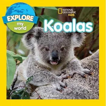 Koalas /