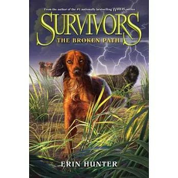 Survivors (4) : the broken path /