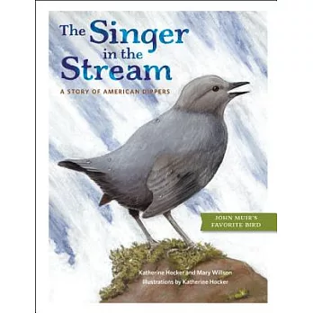 The Singer in the Stream: A Story of American Dippers