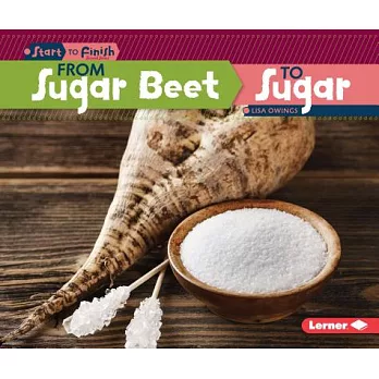 From sugar beet to sugar /