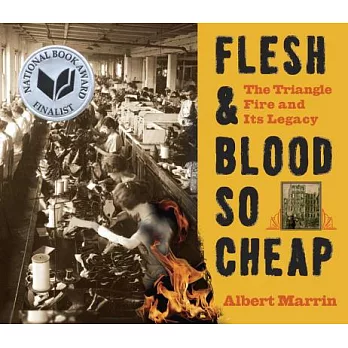 Flesh & blood so cheap  : the Triangle fire and its legacy