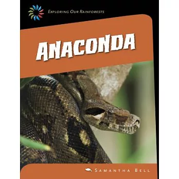 Anaconda /