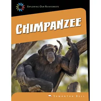 Chimpanzee /