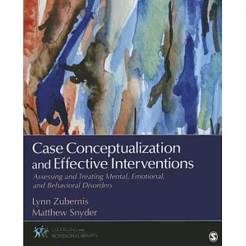 Case conceptualization and effective interventions : assessing and treating mental, emotional, and behavioral disorders /