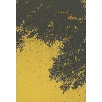 The Middle Notebookes
