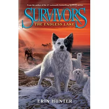 Survivors: The endless lake /