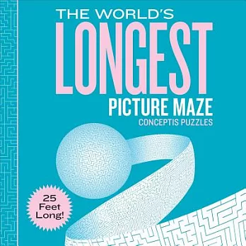 The World’s Longest Picture Maze: 25 Feet Long