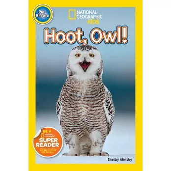 Hoot, owl!