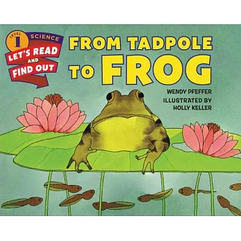 From tadpole to frog