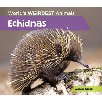 Echidnas /