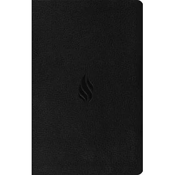 Premium Gift Bible-ESV-Flame Design