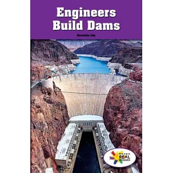 Engineers Build Dams