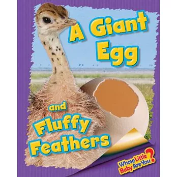 A Giant Egg and Fluffy Feathers