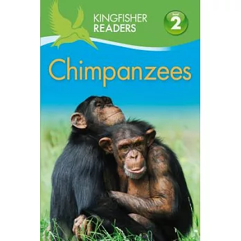 Chimpanzees