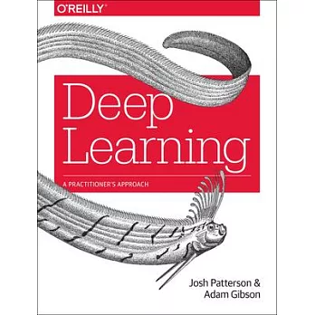 Deep Learning: A Practitioner’s Approach