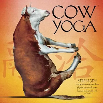 Cow Yoga