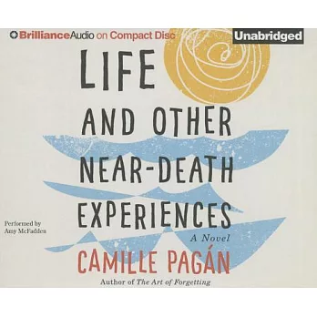 Life and Other Near-Death Experiences
