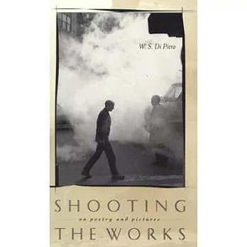 Shooting the Works: On Poetry and Pictures